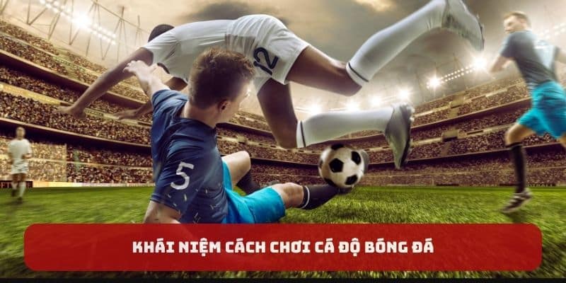 Khái niệm cách chơi cá độ bóng đá