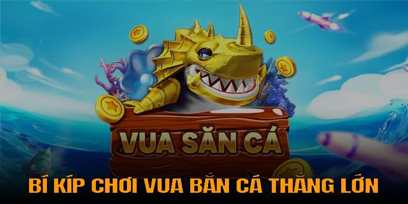 Chiến thuật tham gia vua săn cá hiệu quả 